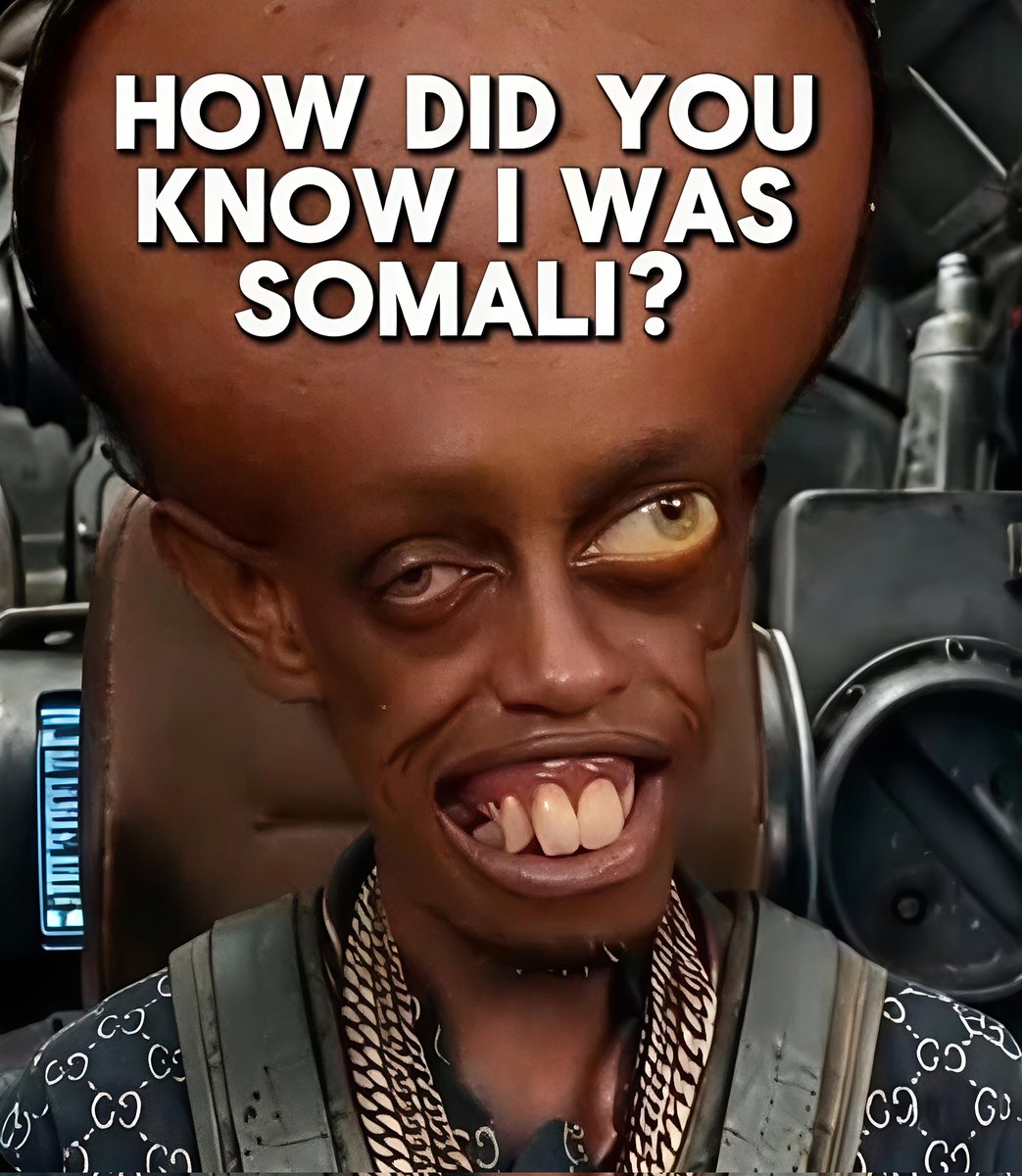 CastellaTV tweet media