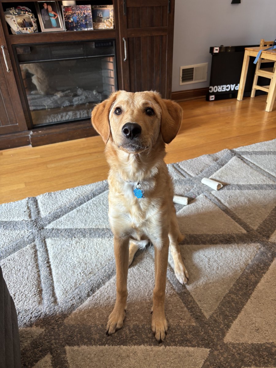 Ultimate Autographs tweet media