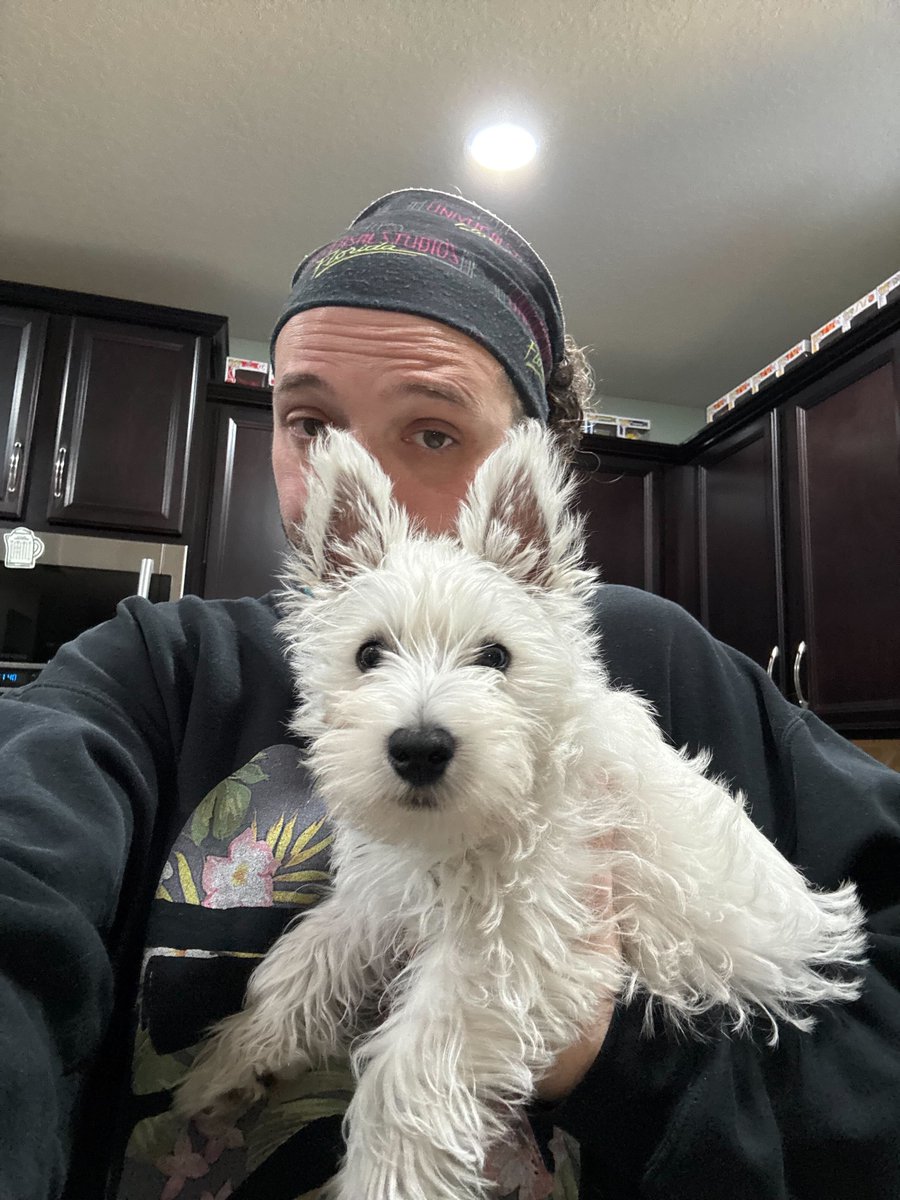 Ultimate Autographs tweet media