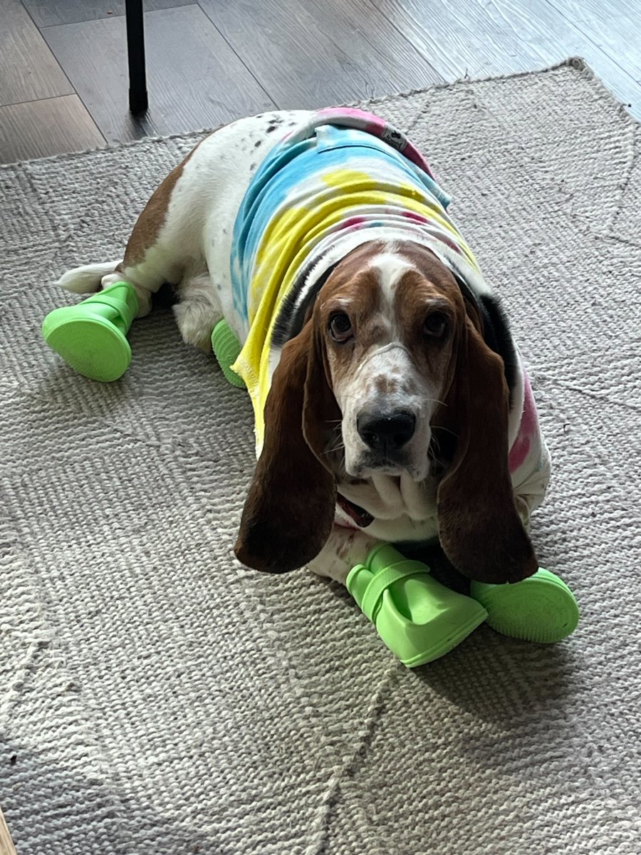 Ultimate Autographs tweet media