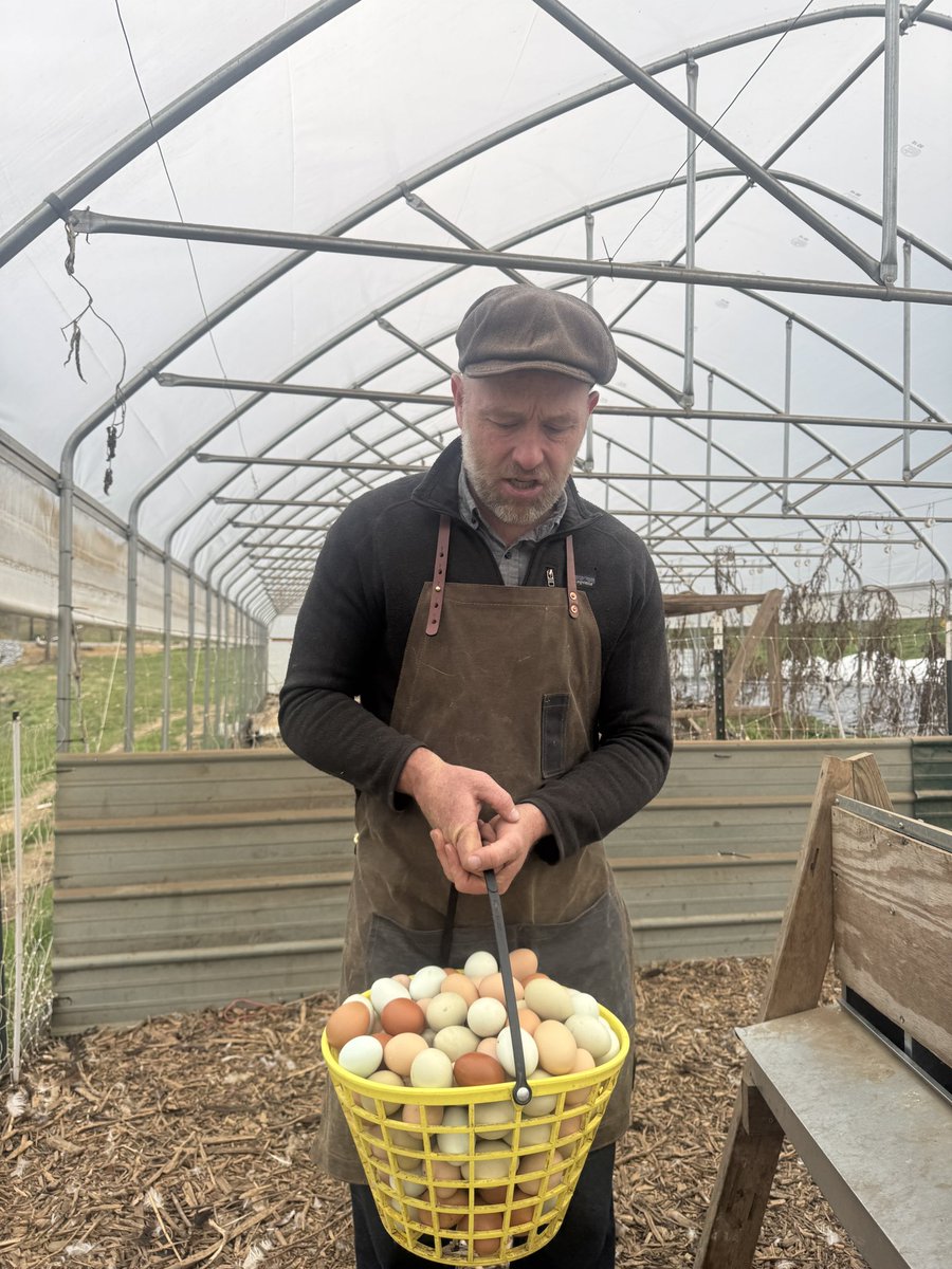 Justin Rhodes tweet media