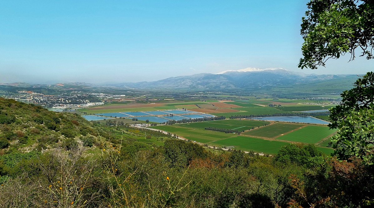 Idan Eretz tweet media