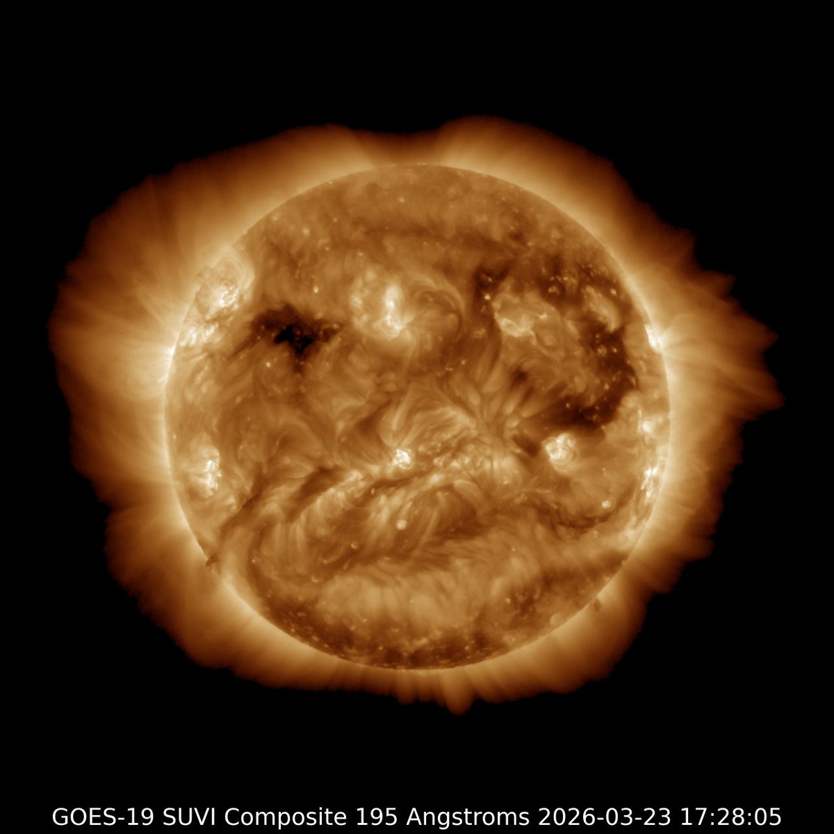 🚜Luddite🍄Engineer tweet media
