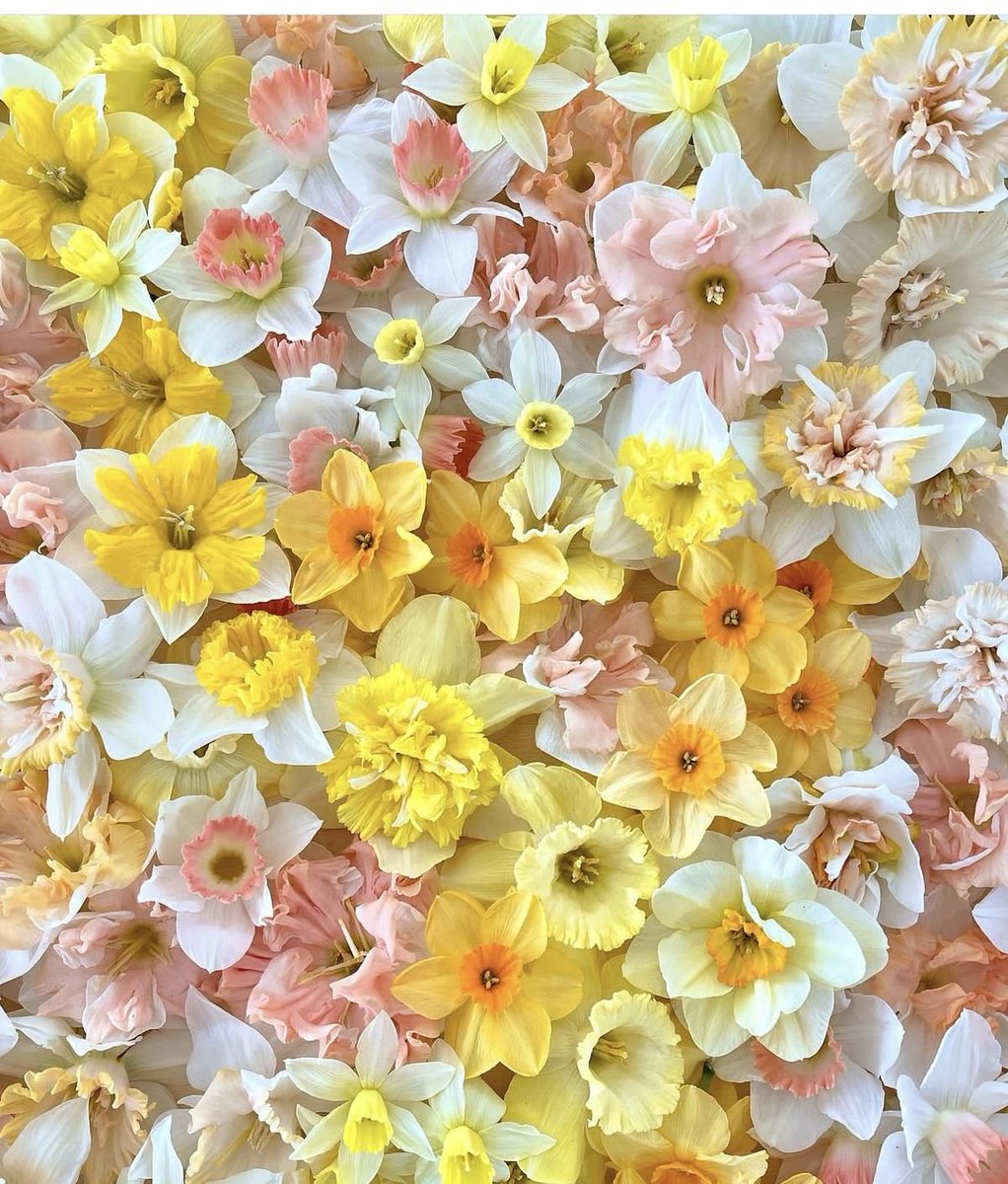 La vie est belle tweet media