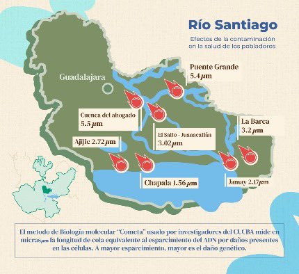 Iván Serrano Jauregui tweet media