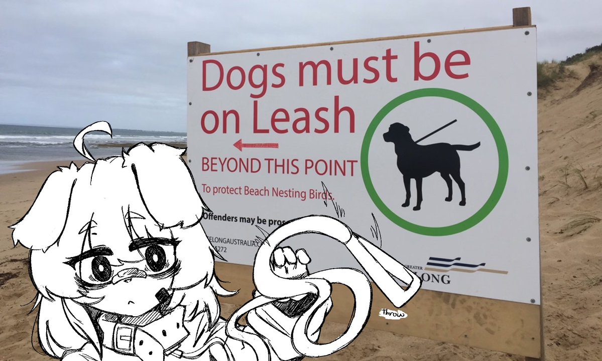 Local Rabbit 🔞 tweet media