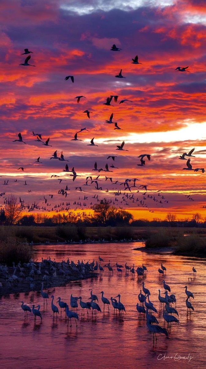 ♏🦂Lilith🦂♏ tweet media