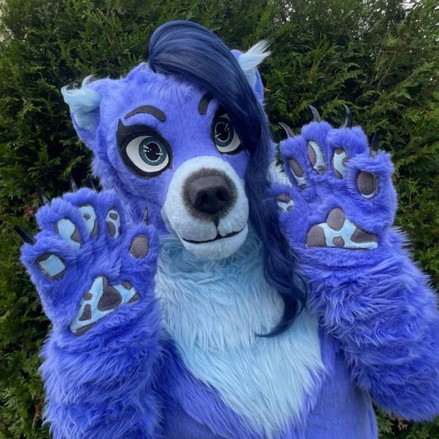 Molly Winter tweet media