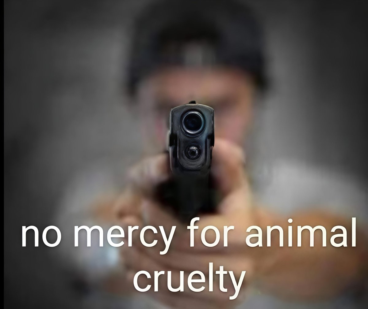 CastellaTV tweet media