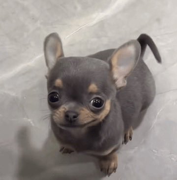 johnny ᶻ 𝗓 𐰁 .ᐟ tweet media