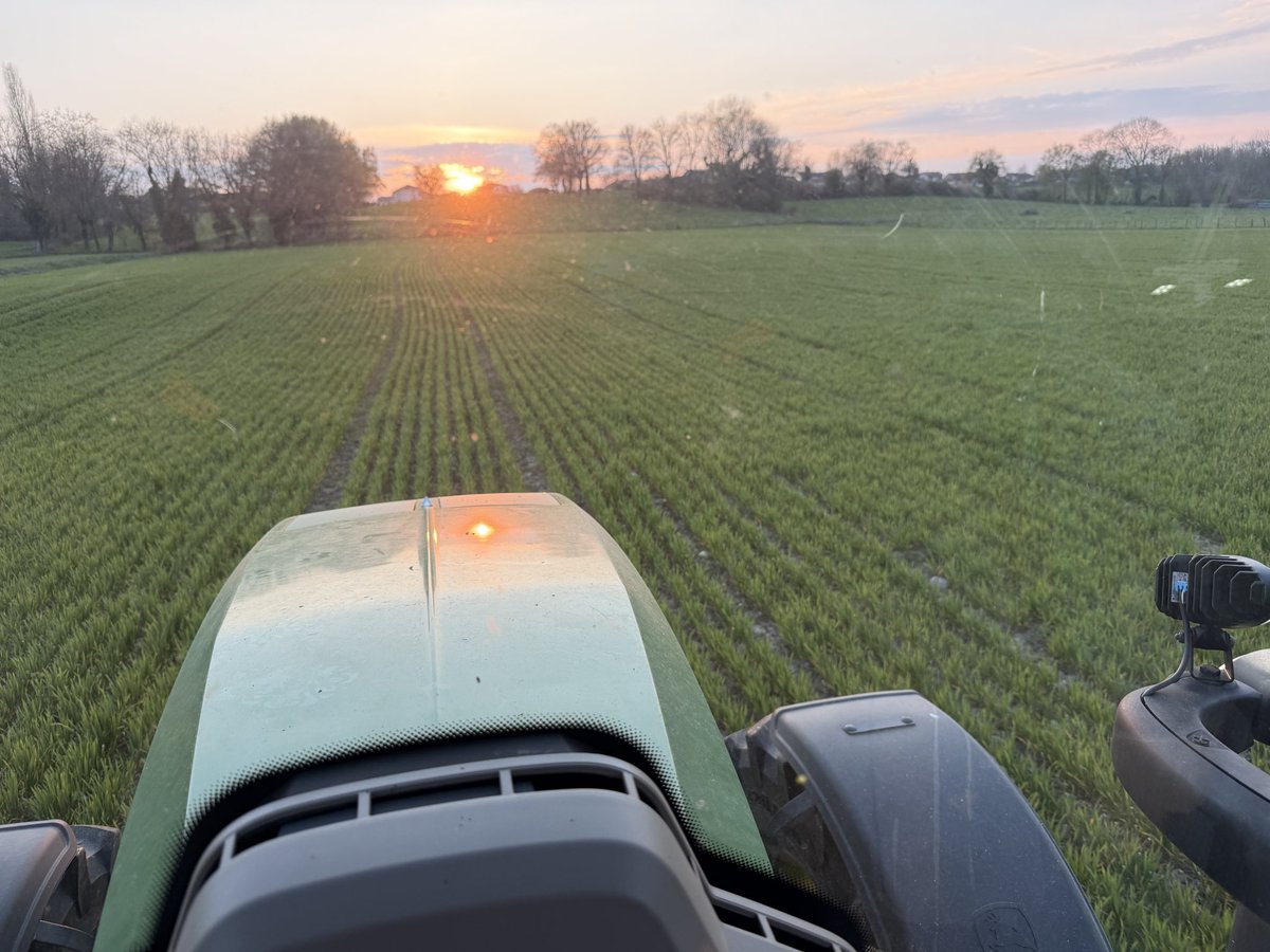 aestiv's tweet image. « Adieu matricaire et pâturin » 

Binage des #blés #bio