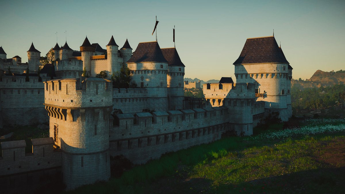 Disco 🌿🔦 tweet media