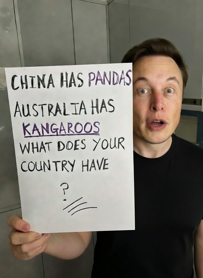 The Shadow Briefing🇺🇸🦅 tweet media