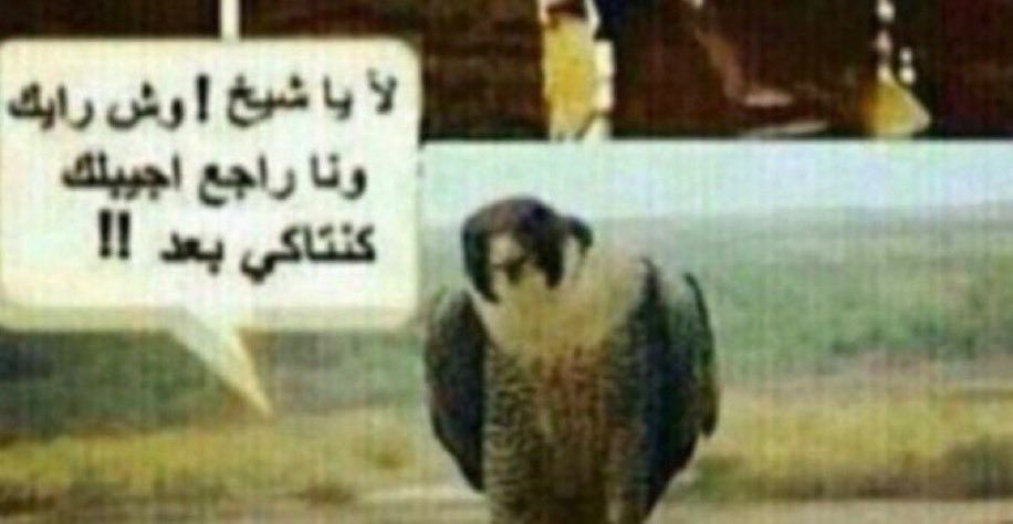 فيصل tweet media