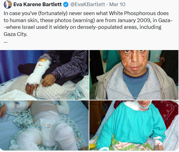 Eva Karene Bartlett tweet media