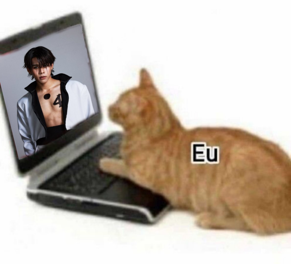 acervo lykn tweet media