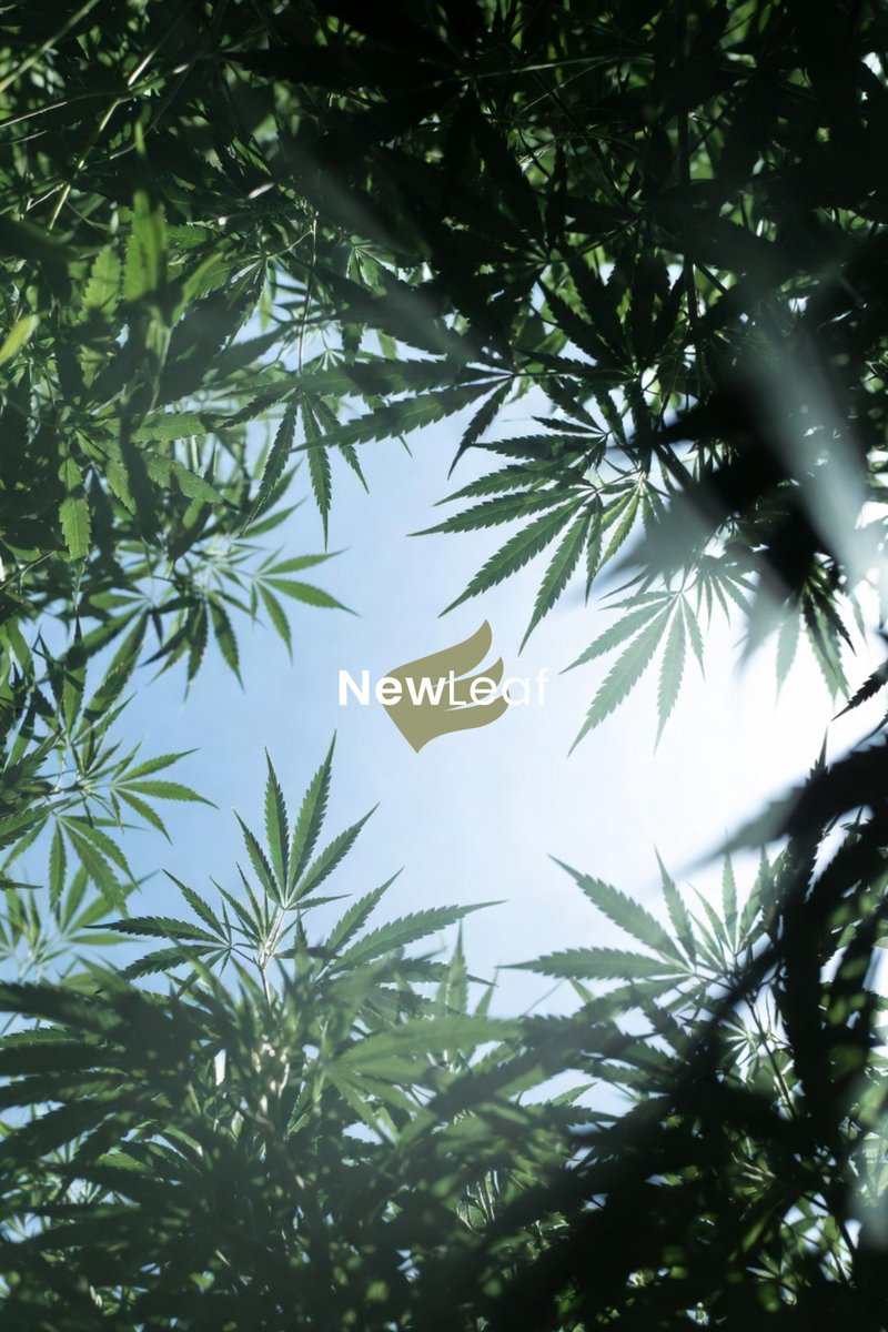 RELIEVA by New Leaf Finance tweet media