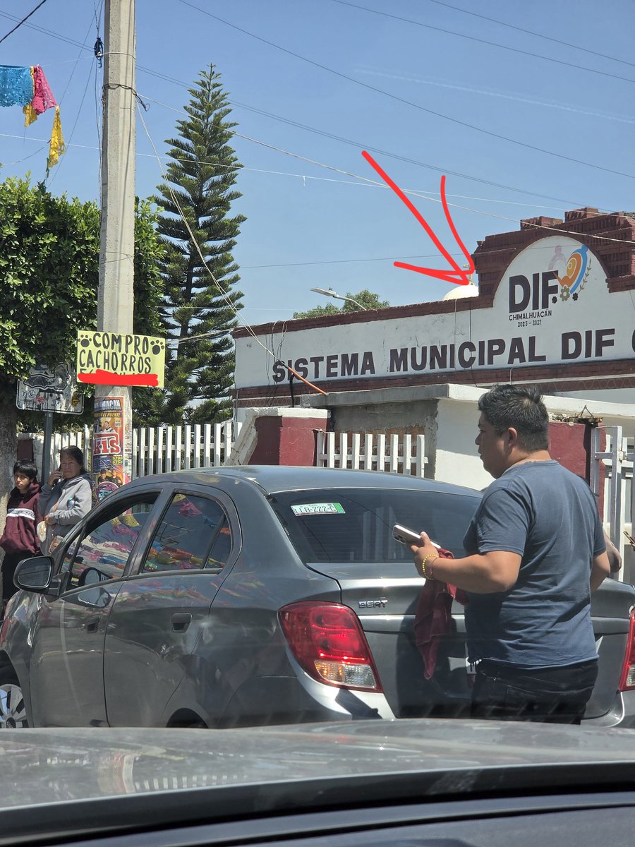 🐾🐾Gatitos a salvo🐾🐾 tweet media