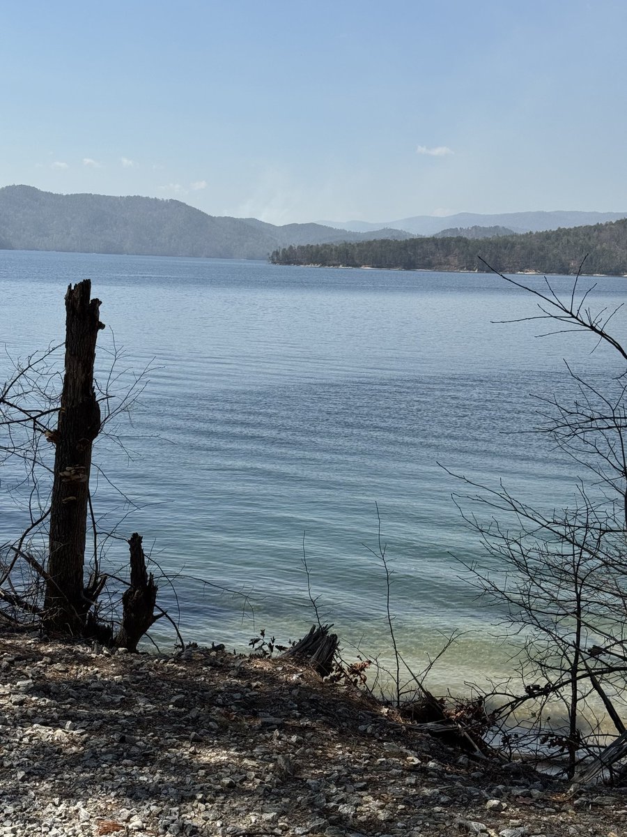 Michael Addis tweet media