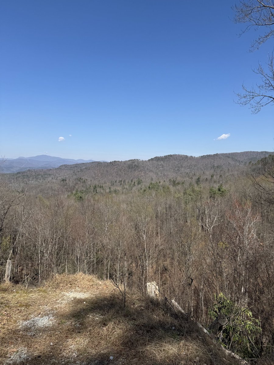 Michael Addis tweet media