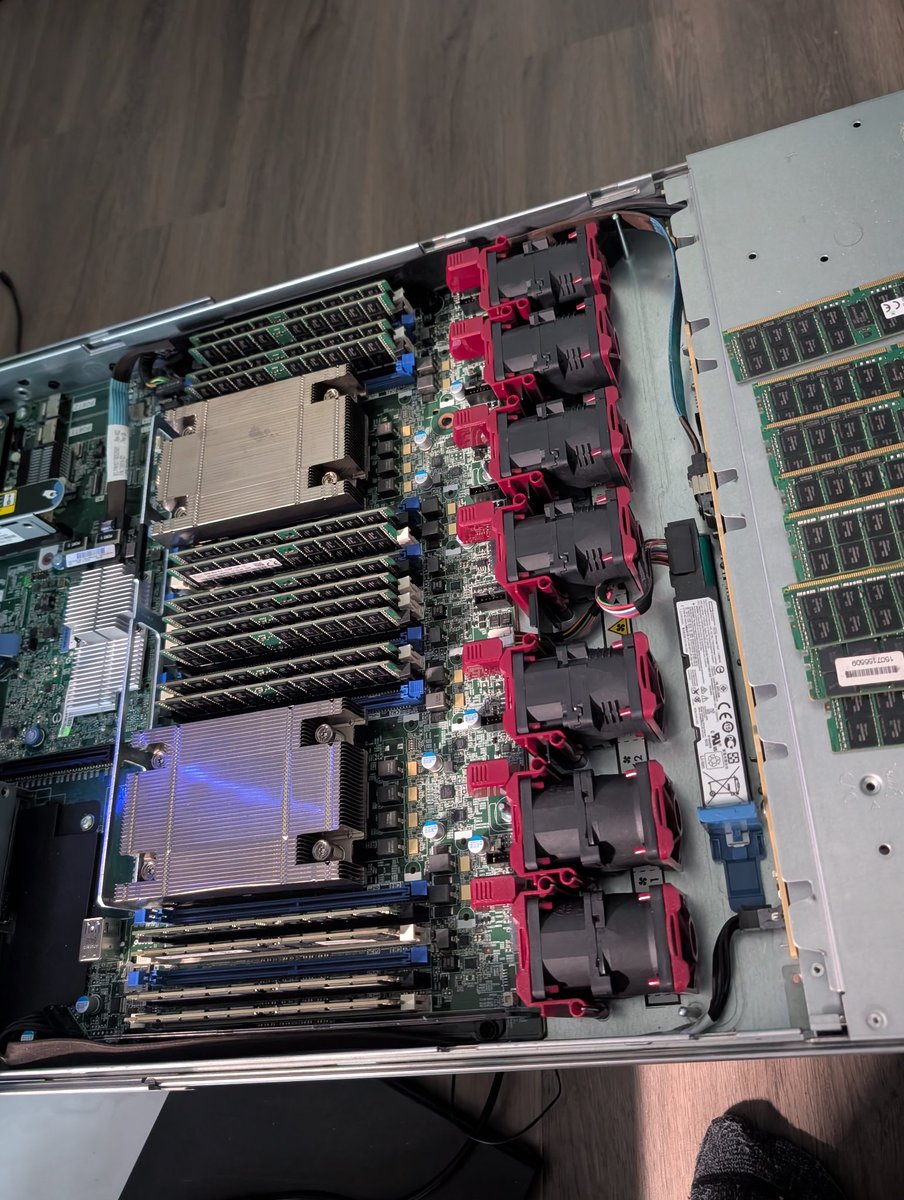 alice pseudoangel tweet media