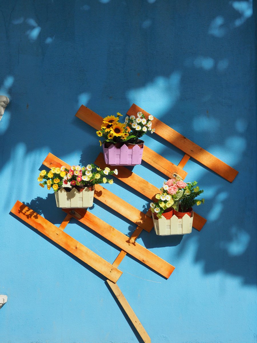 annu singh tomar tweet media