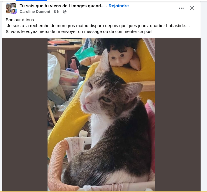 PERSONNEL tweet media