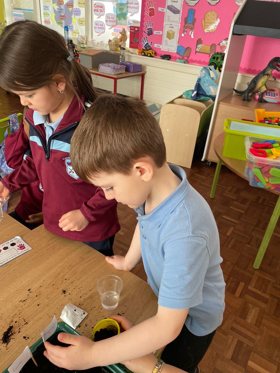 C.B.S Primary School Nenagh tweet media