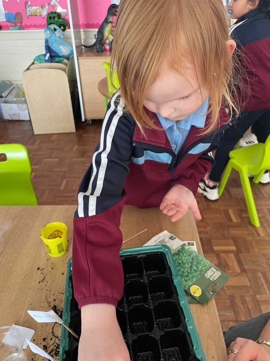 C.B.S Primary School Nenagh tweet media