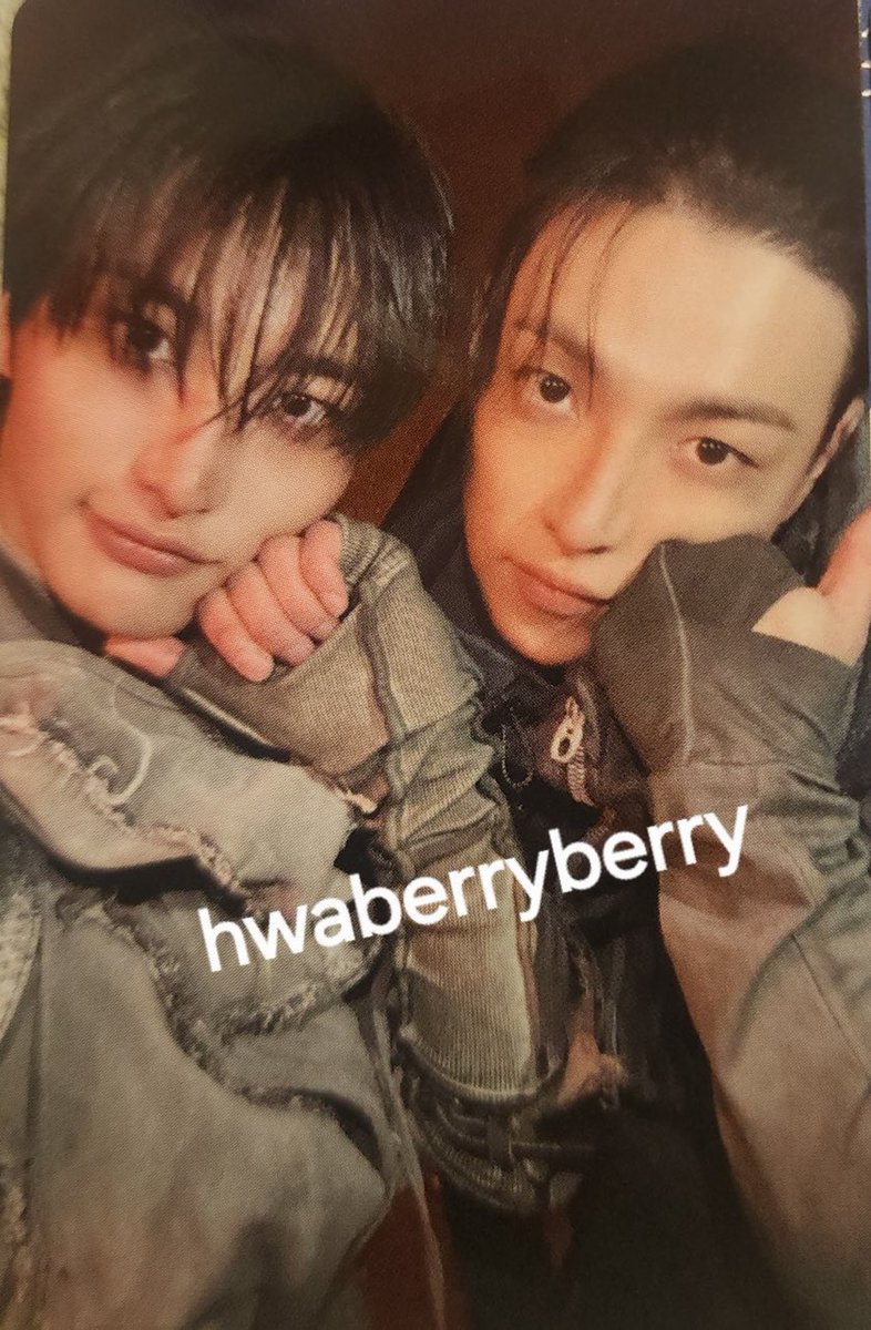 🌲🦌🍄 tweet media