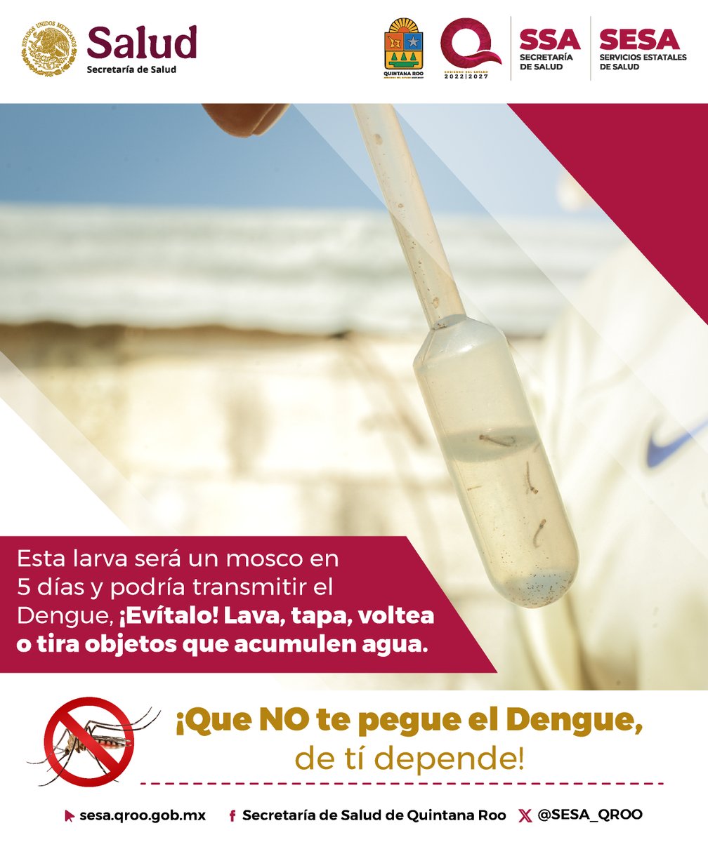 SESA Quintana Roo tweet media