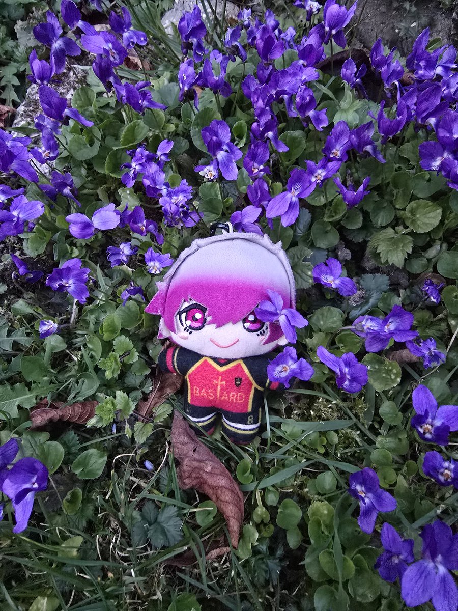 hootingcat tweet media