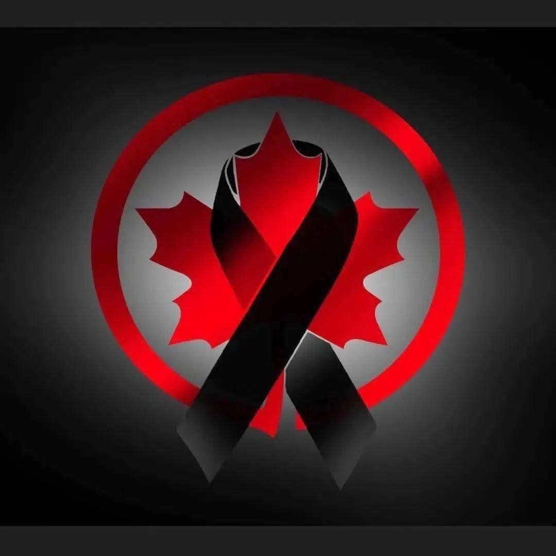 Benoît Laplante 🛩🚀🛰️ 🇨🇦 tweet media