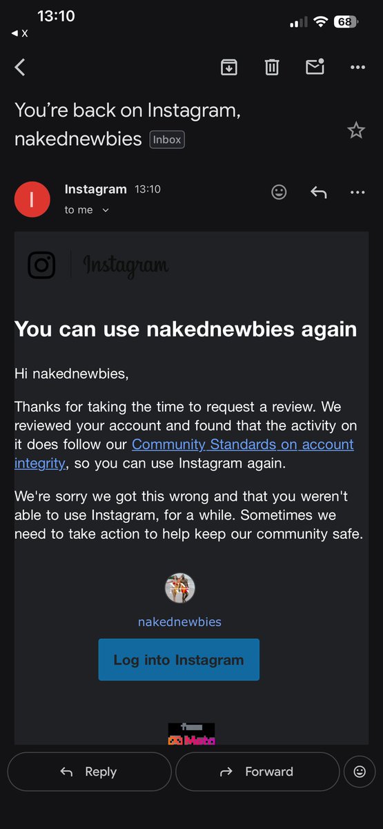 Naked Newbies tweet media