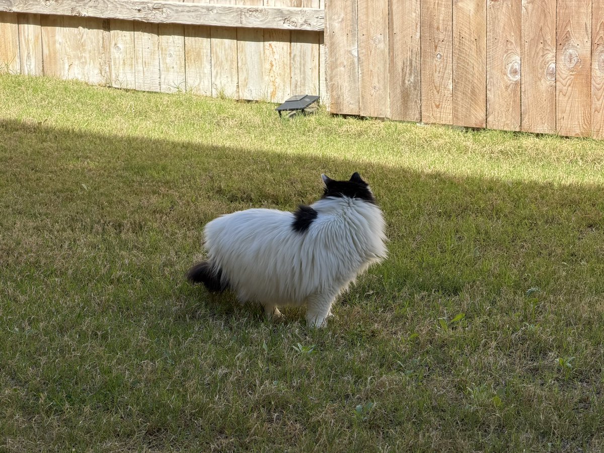 𝒋𝒙𝒄 tweet media