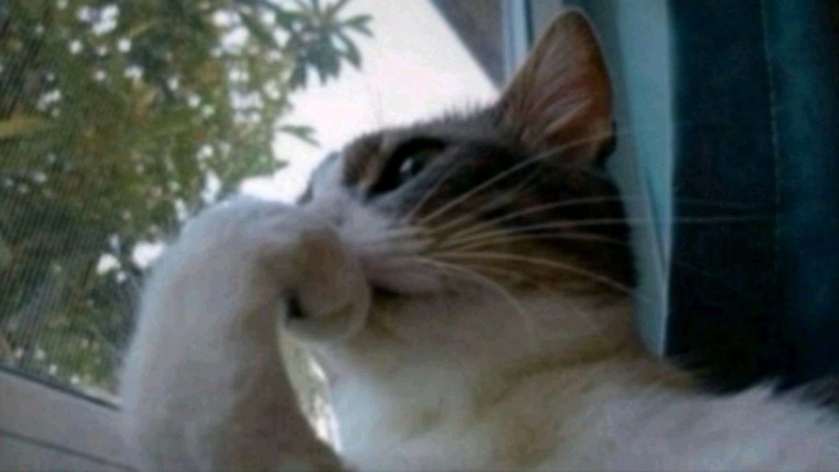 𝑫𝒂𝒓𝒌 tweet media