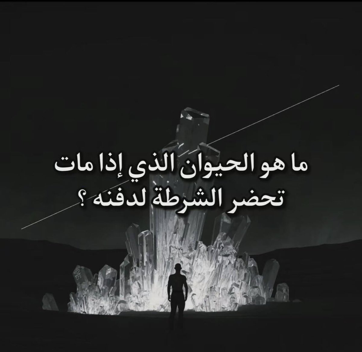 امــل tweet media