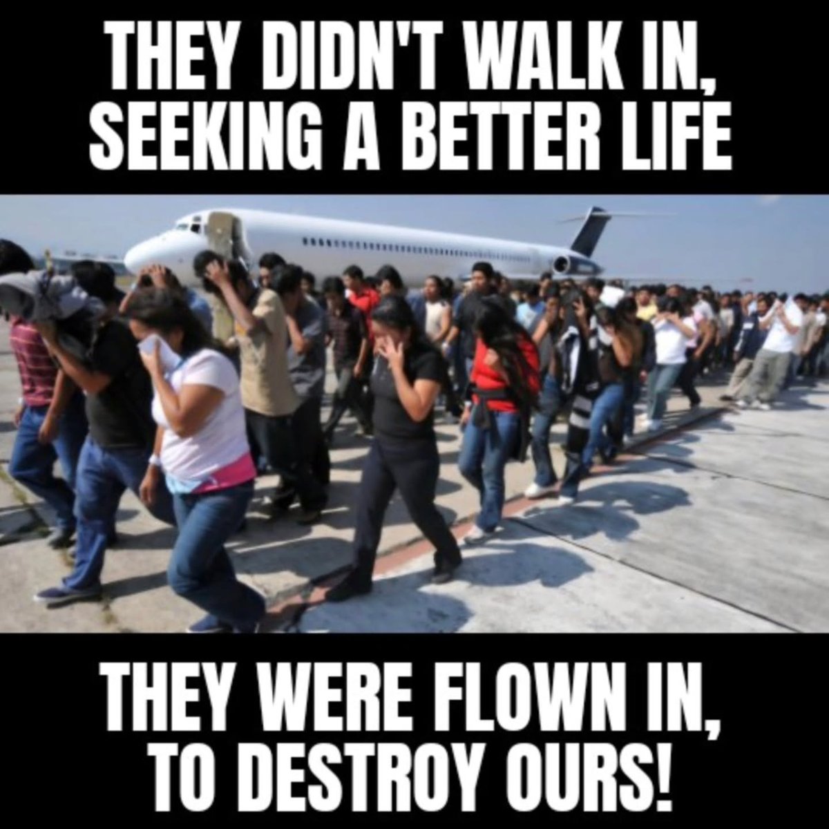 SaltyGoat tweet media