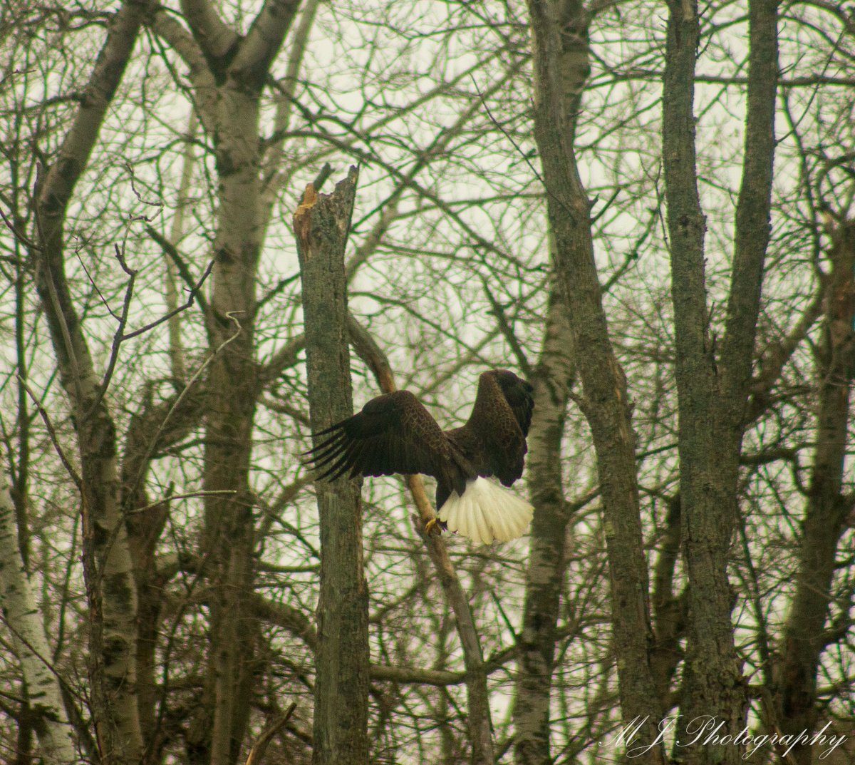 💀⚰️🪦Melody 🎶🖤🎶 tweet media