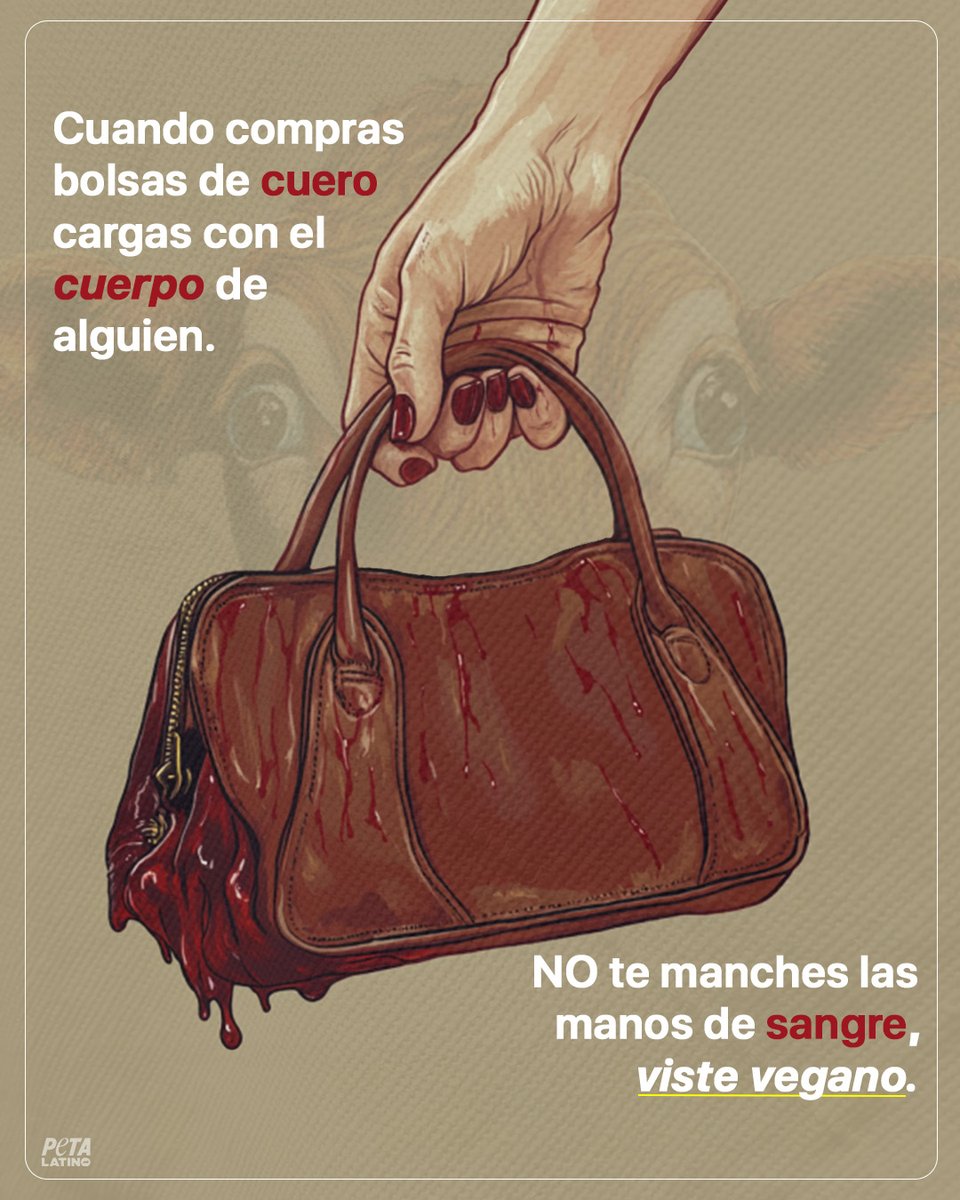 PETA Latino tweet media