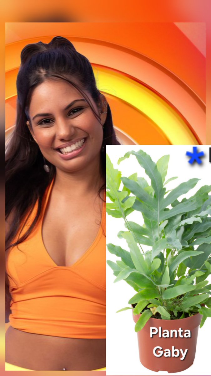 Indignado³ tweet media