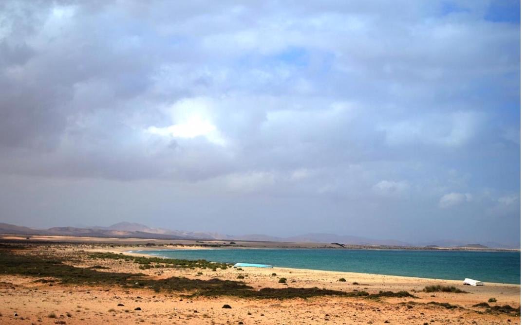 Hawd Girl (Maandeeq) 🐪 @ Somaliland 💚🤍❤️ tweet media