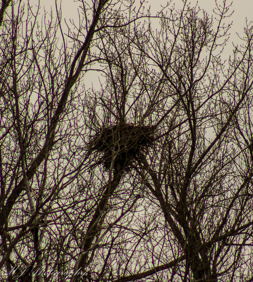 💀⚰️🪦Melody 🎶🖤🎶 tweet media