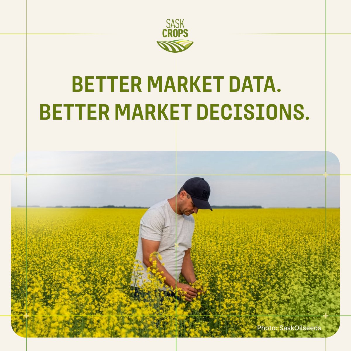 SaskOilseeds tweet media