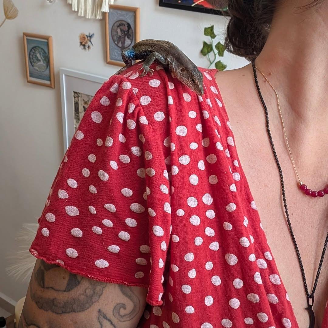 ᑭᖇᑌᖴᖴE et les Mounous au Yucatán ☀️ tweet media