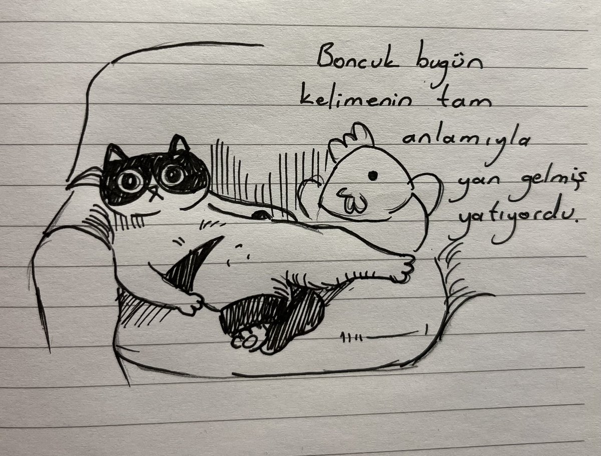 Daily Boncuk tweet media