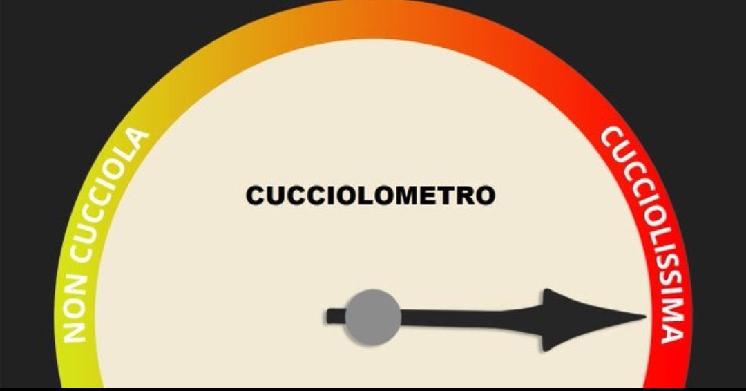MussulmanoG's tweet photo. @Perronismo23 https://t.co/oDFCmKdc3Y