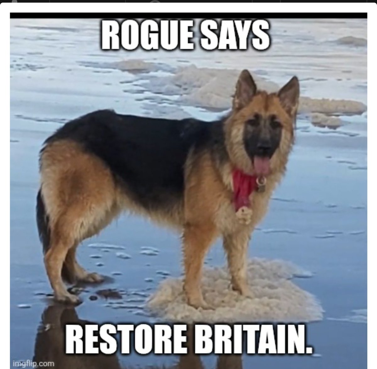 ANNIE WR tweet media