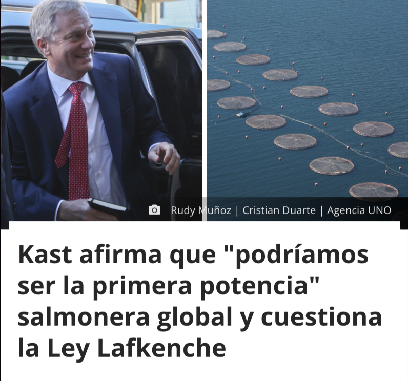 Make Chile Fome Again 🇨🇱 tweet media