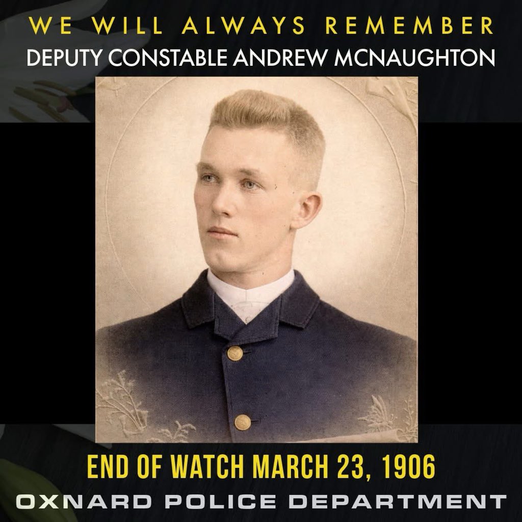 Many Graces tweet media